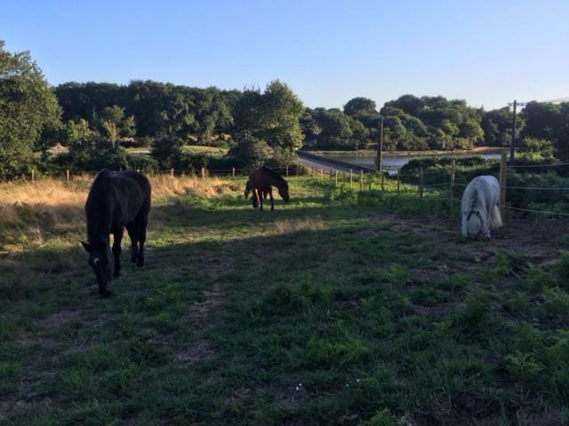 Les Fermes De Kercadoret Belz Esterno foto