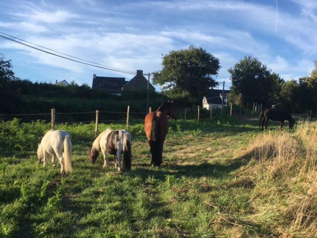Les Fermes De Kercadoret Belz Esterno foto